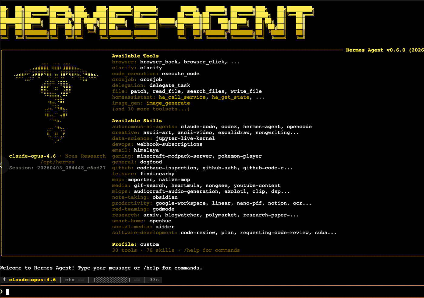 Hermes in the terminal